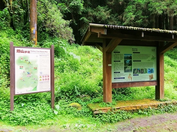 IMG_20200814_140648.jpg IMG_20200814_140648.jpg