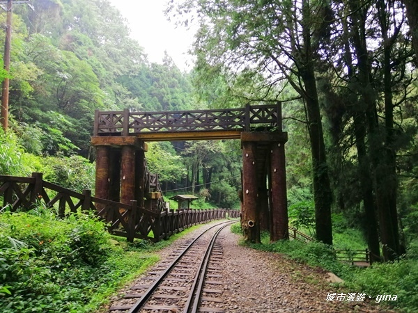 IMG_20200814_140527.jpg IMG_20200814_140527.jpg