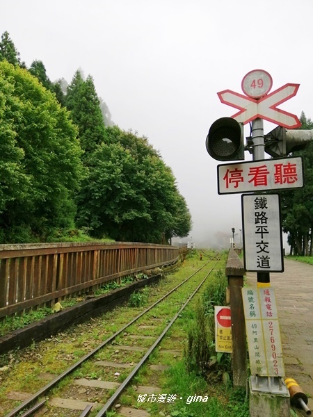 IMG_20200814_141735.jpg IMG_20200814_141735.jpg