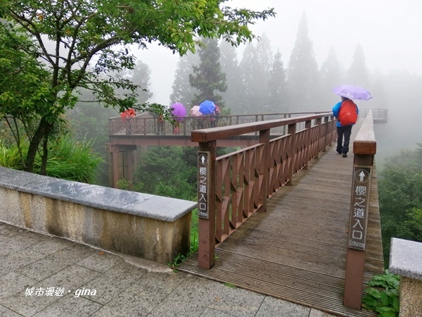 IMG_20200814_142757.jpg IMG_20200814_142757.jpg