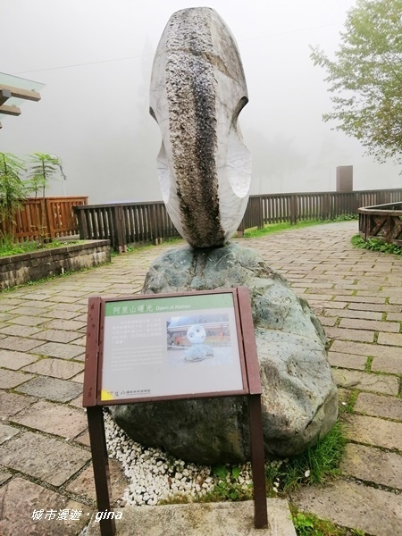 IMG_20200814_142543.jpg IMG_20200814_142543.jpg