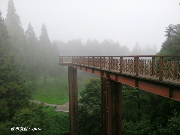 IMG_20200814_142840.jpg IMG_20200814_142840.jpg