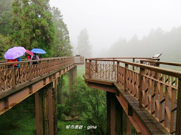 IMG_20200814_143032.jpg IMG_20200814_143032.jpg