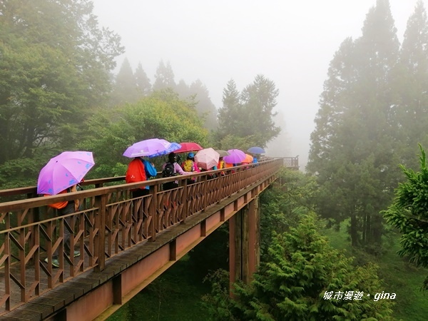 IMG_20200814_142929.jpg IMG_20200814_142929.jpg