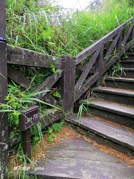 【嘉義阿里山鄉】阿里山山脈最高峰~山林森呼吸。 No59小百