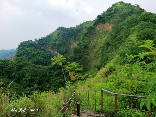 【南投草屯】峰峰相連~草屯第一景。 九九峰森林步道