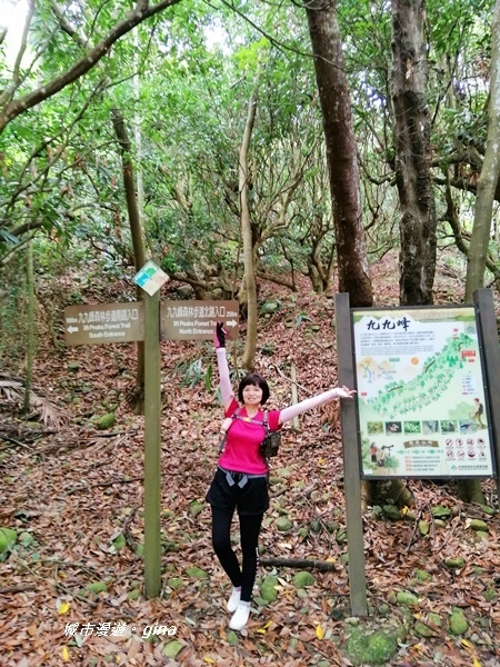 【南投草屯】峰峰相連~草屯第一景。 九九峰森林步道