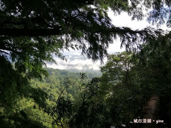 【台中北屯】小百岳集起來。 No41小百岳~頭嵙山