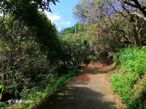 IMG_20200829_094204.jpg IMG_20200829_094204.jpg