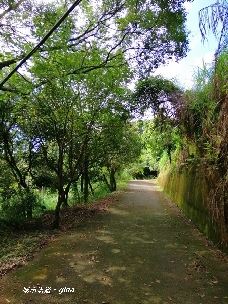 IMG_20200829_093920.jpg IMG_20200829_093920.jpg