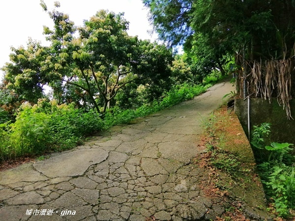 IMG_20200829_095012.jpg IMG_20200829_095012.jpg