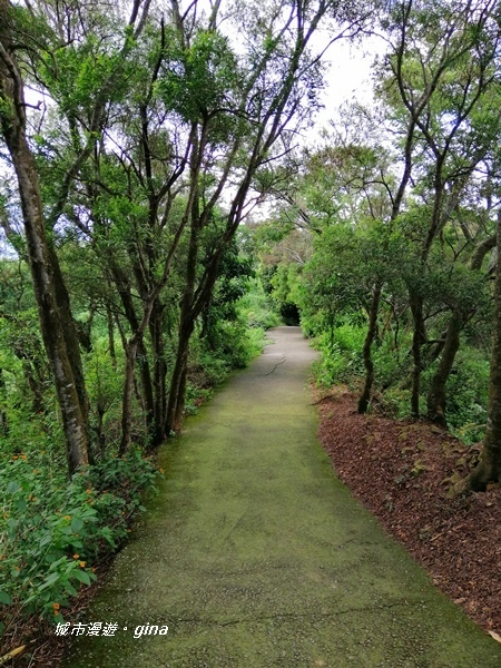 IMG_20200829_095944.jpg IMG_20200829_095944.jpg