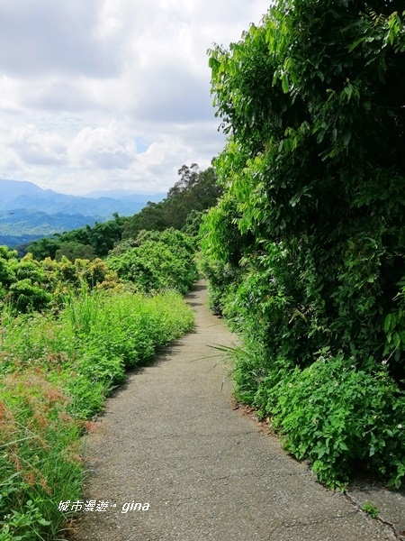 IMG_20200829_095615.jpg IMG_20200829_095615.jpg