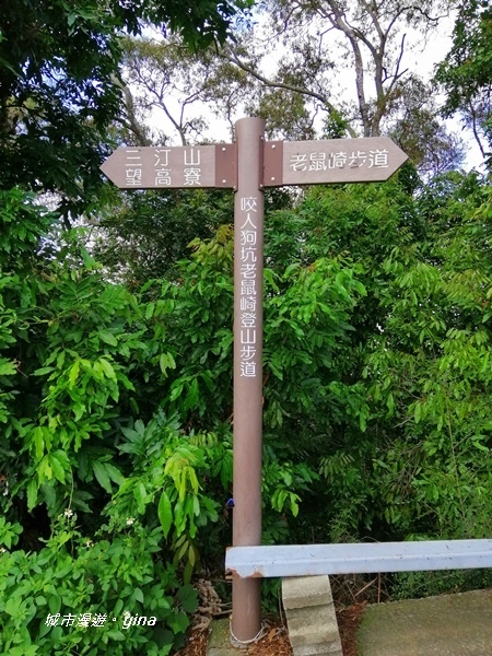 IMG_20200829_095400.jpg IMG_20200829_095400.jpg