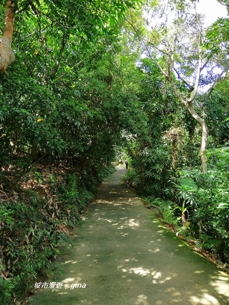 IMG_20200829_100320.jpg IMG_20200829_100320.jpg