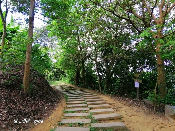 IMG_20200829_100754.jpg IMG_20200829_100754.jpg