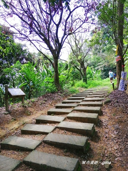 IMG_20200829_100801.jpg IMG_20200829_100801.jpg