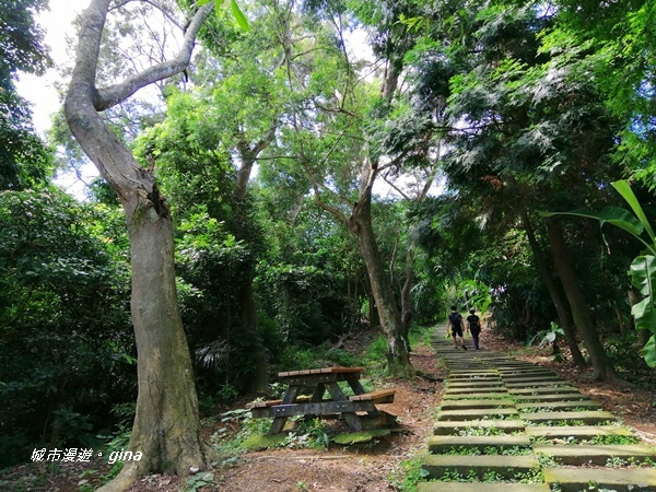 IMG_20200829_101213.jpg IMG_20200829_101213.jpg