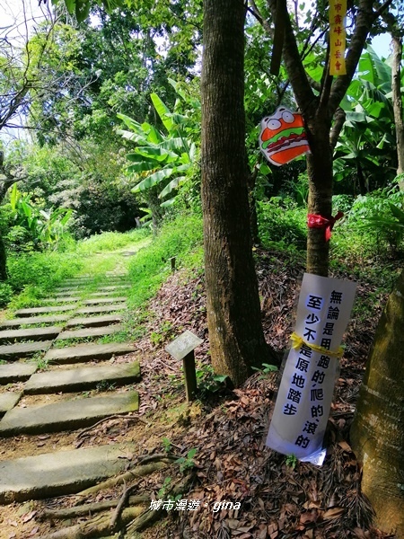 IMG_20200829_101043.jpg IMG_20200829_101043.jpg