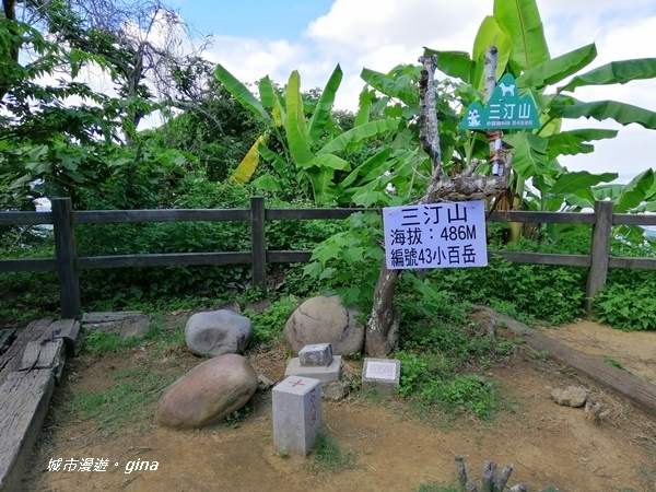 IMG_20200829_101425.jpg IMG_20200829_101425.jpg