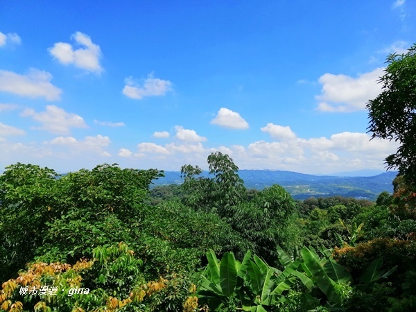 IMG_20200829_103436.jpg IMG_20200829_103436.jpg