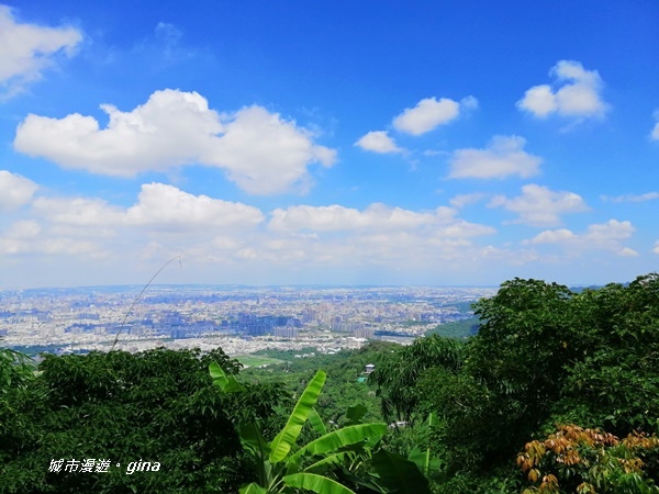 IMG_20200829_103432.jpg IMG_20200829_103432.jpg