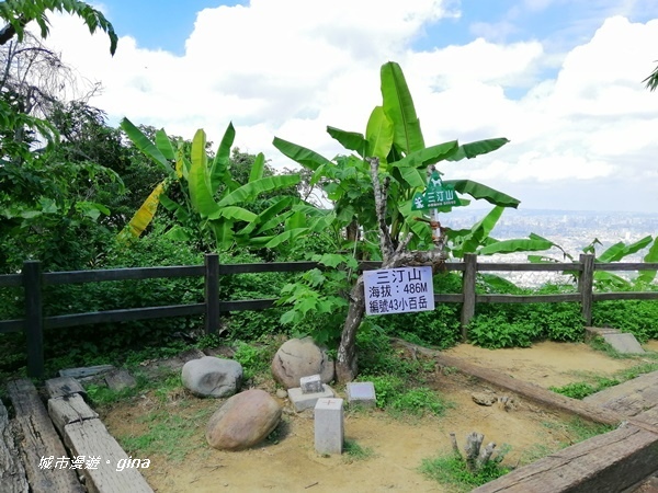 IMG_20200829_102237.jpg IMG_20200829_102237.jpg