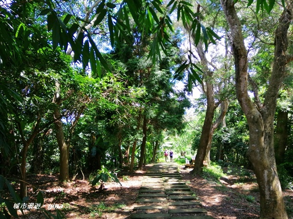 IMG_20200829_103721.jpg IMG_20200829_103721.jpg