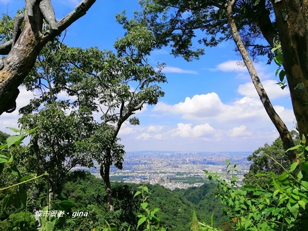 IMG_20200829_104812.jpg IMG_20200829_104812.jpg