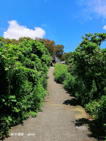 IMG_20200829_105027.jpg IMG_20200829_105027.jpg