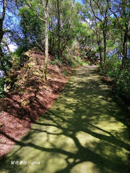 IMG_20200829_104825.jpg IMG_20200829_104825.jpg