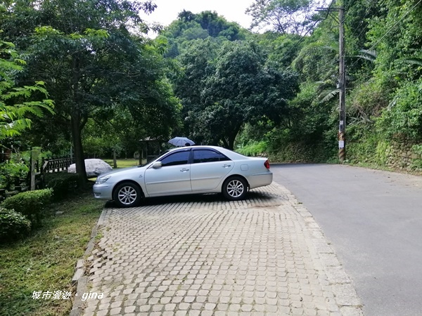 IMG_20200829_115307.jpg IMG_20200829_115307.jpg