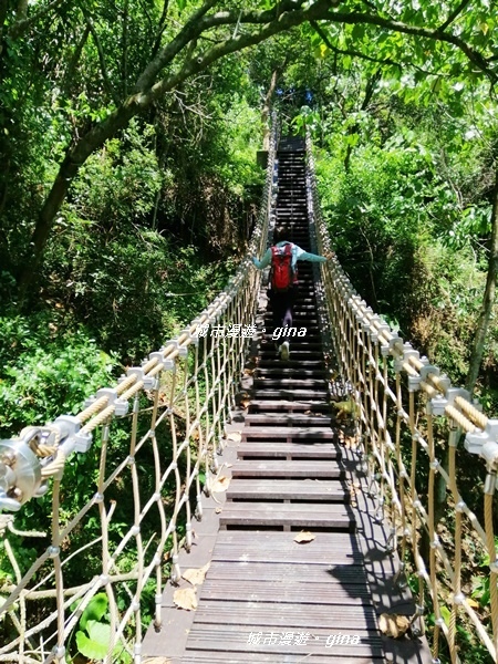 IMG_20200829_115303.jpg IMG_20200829_115303.jpg