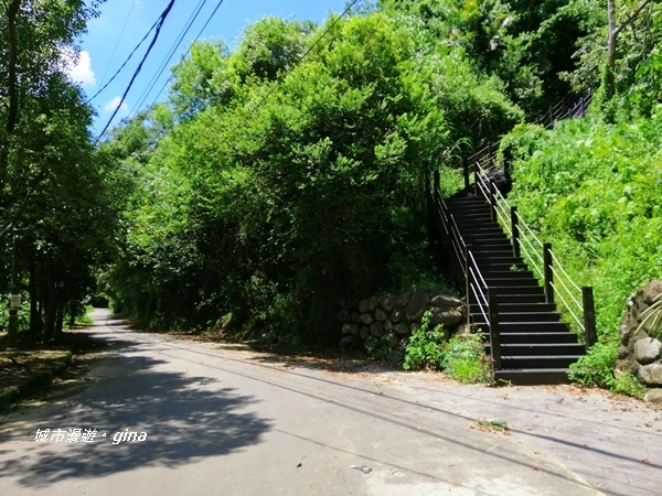 IMG_20200829_115407.jpg IMG_20200829_115407.jpg