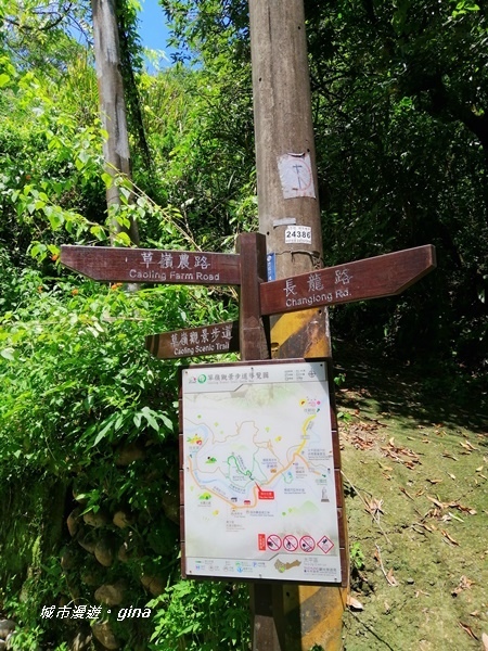 IMG_20200829_115403.jpg IMG_20200829_115403.jpg