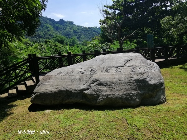 IMG_20200829_115308.jpg IMG_20200829_115308.jpg