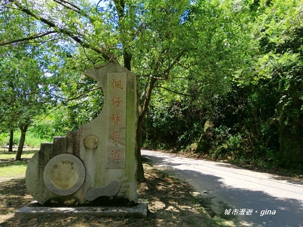 IMG_20200829_115416.jpg IMG_20200829_115416.jpg