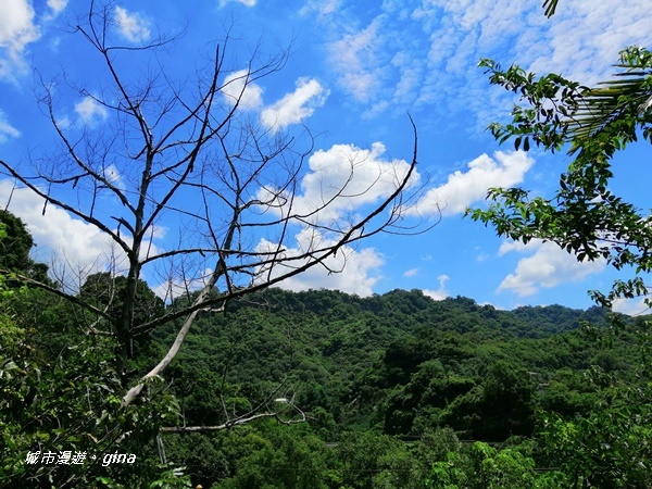 IMG_20200829_115654.jpg IMG_20200829_115654.jpg