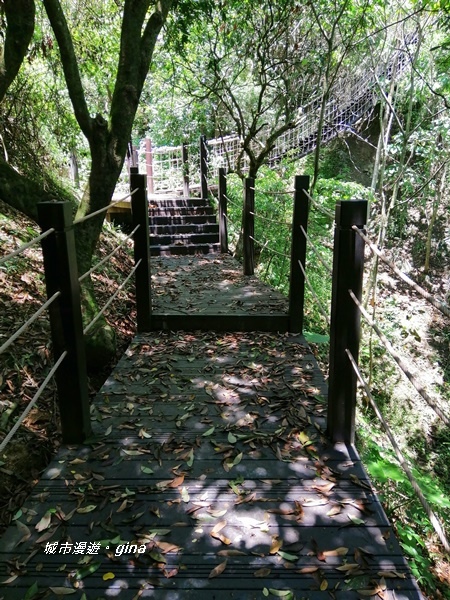 IMG_20200829_115731.jpg IMG_20200829_115731.jpg