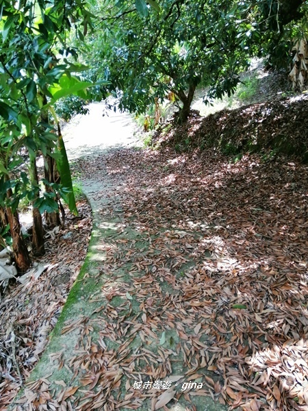 IMG_20200829_123802.jpg IMG_20200829_123802.jpg