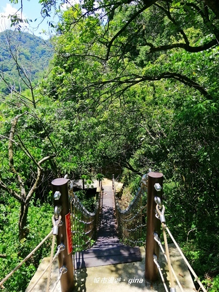 IMG_20200829_120151.jpg IMG_20200829_120151.jpg