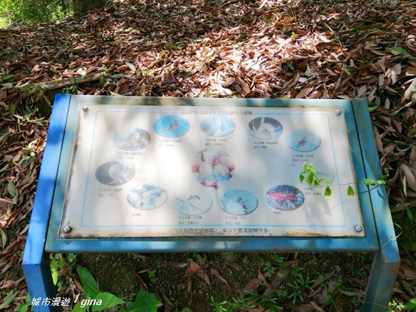 IMG_20200829_120328.jpg IMG_20200829_120328.jpg