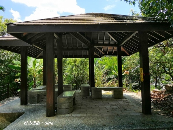 IMG_20200829_120253.jpg IMG_20200829_120253.jpg