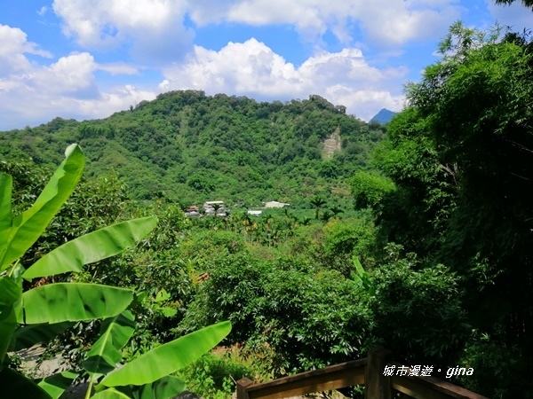 IMG_20200829_123936.jpg IMG_20200829_123936.jpg