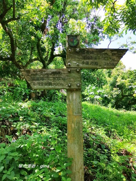 IMG_20200829_123719.jpg IMG_20200829_123719.jpg