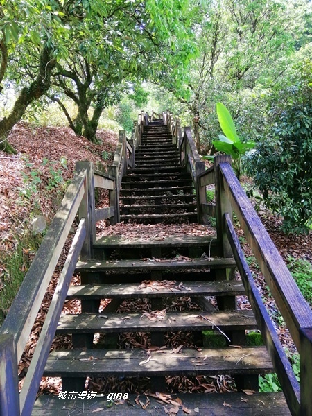 IMG_20200829_123925.jpg IMG_20200829_123925.jpg