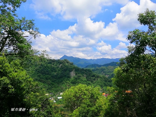 IMG_20200829_125240.jpg IMG_20200829_125240.jpg