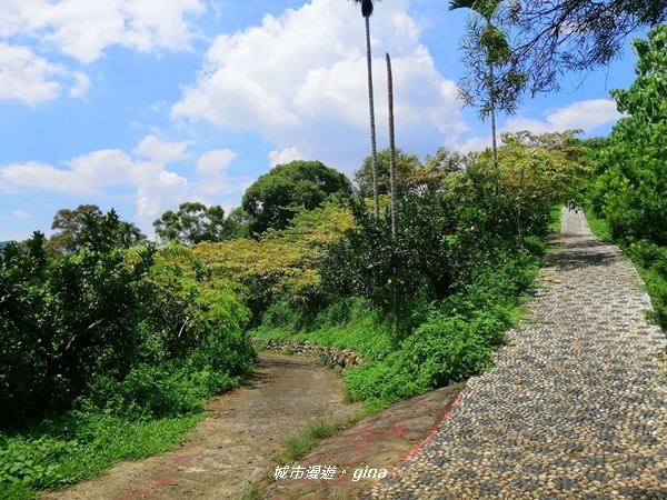 IMG_20200829_125302.jpg IMG_20200829_125302.jpg