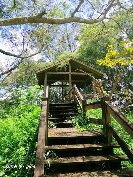 IMG_20200829_125321.jpg IMG_20200829_125321.jpg