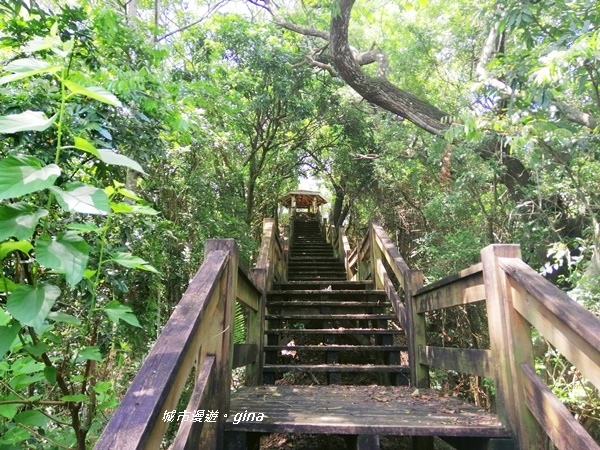 IMG_20200829_125634.jpg IMG_20200829_125634.jpg